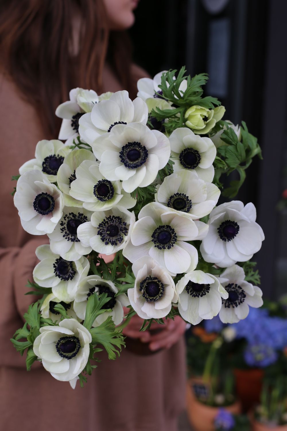 Bukiet białych anemonów