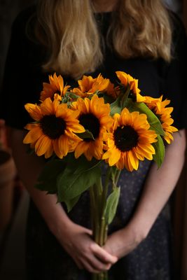 Bukiet słoneczników