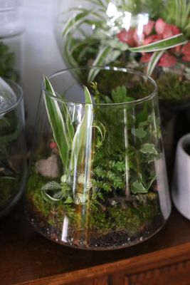 Warsztaty z lasu w szkle