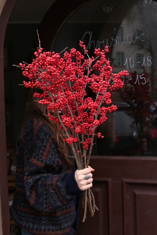 Gałązka ostrokrzewu 60 cm