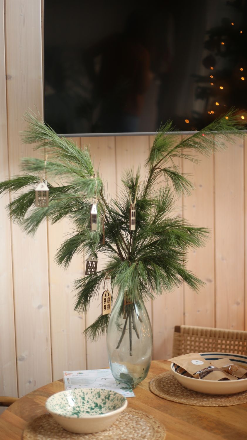 Gałązki sosny wejmutki