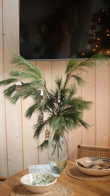 Gałązki sosny wejmutki