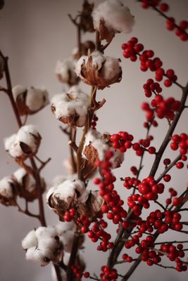 Bukiet BAWEŁNA I ILEX