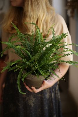 Warsztaty z pielęgnacji roślin