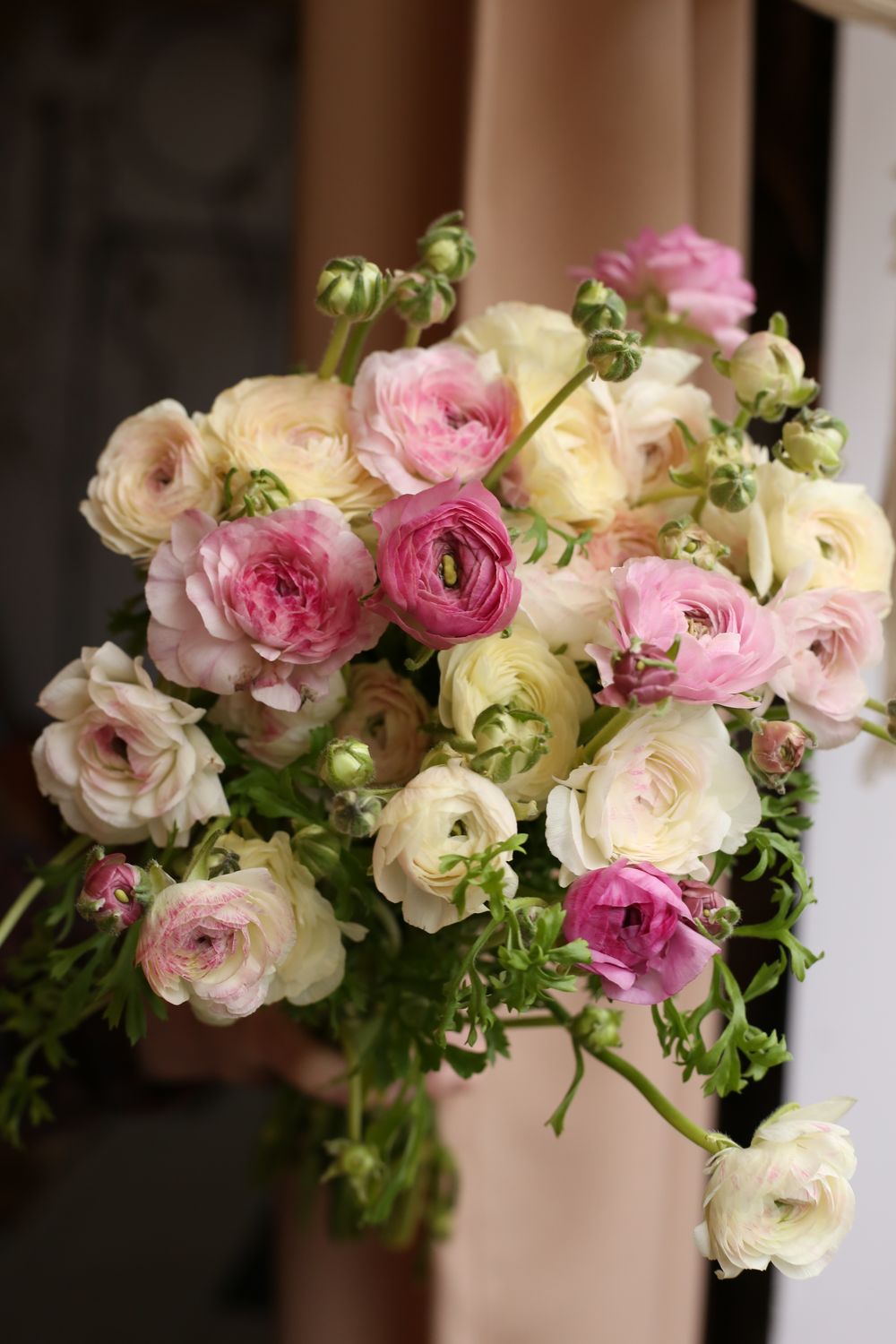 Bukiet jaskrów mix kolorów