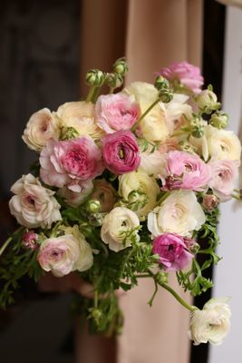 Bukiet jaskrów mix kolorów