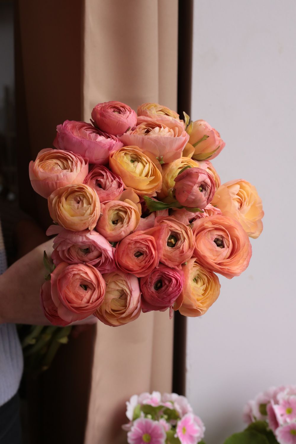 Bukiet brzoskwiniowych jaskrów