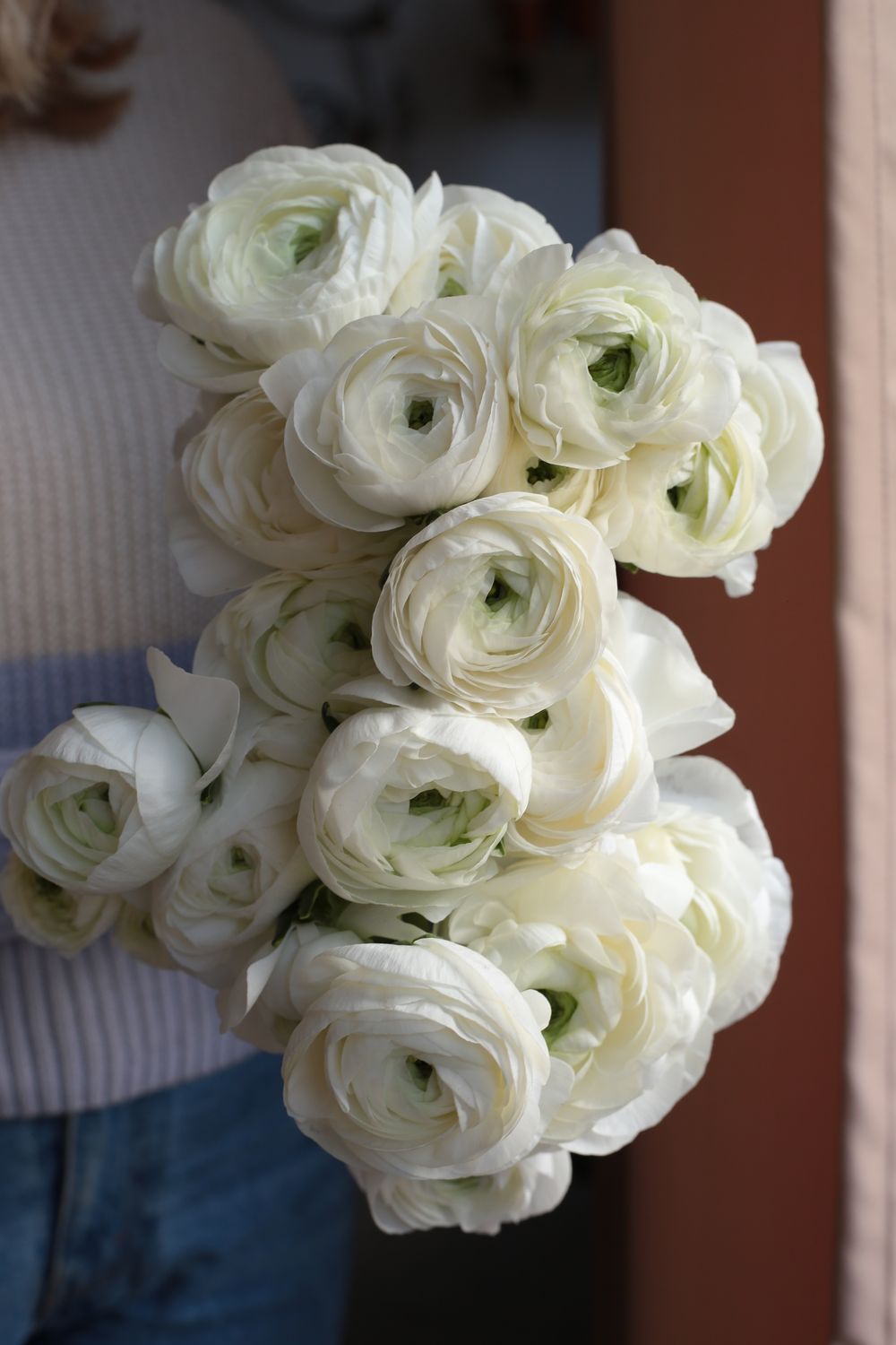 Bukiet białych jaskrów