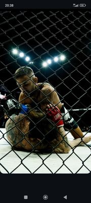 MMA