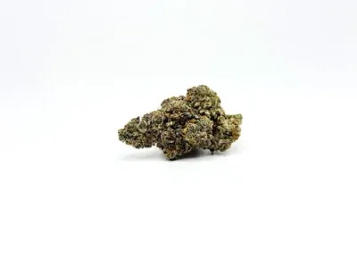 THCA - Exotic Flower - Dayquil