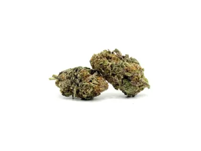 THCA - Exotic Flower - Italian Ice