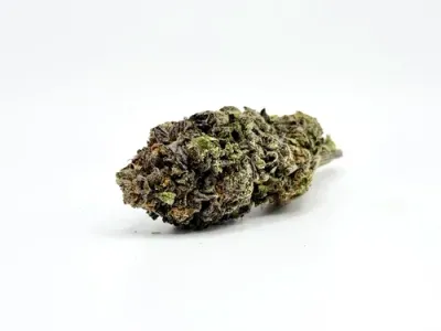 THCA - Top Shelf Flower - Sunset Sherbet