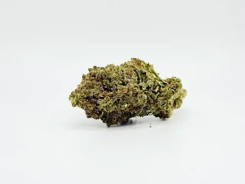 THCA - Mid Flower - Hash Burger