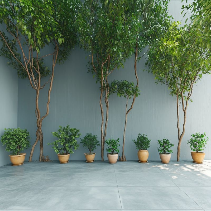 Plants
