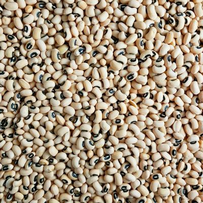Black Eye Beans 1 kg SG
