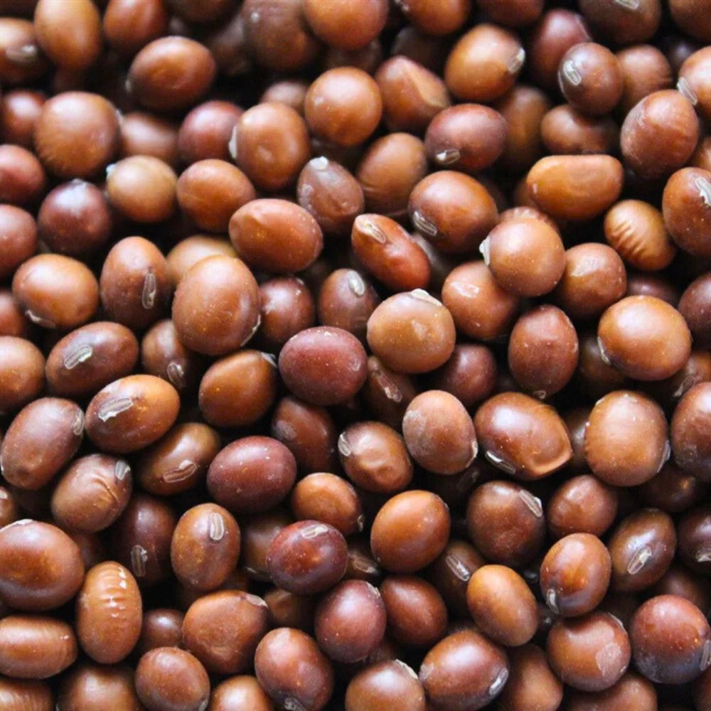 Brown Soya Beans (Bhatmas) 500g SG