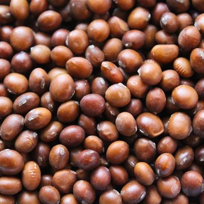 Brown Soya Beans (Bhatmas) 500g SG