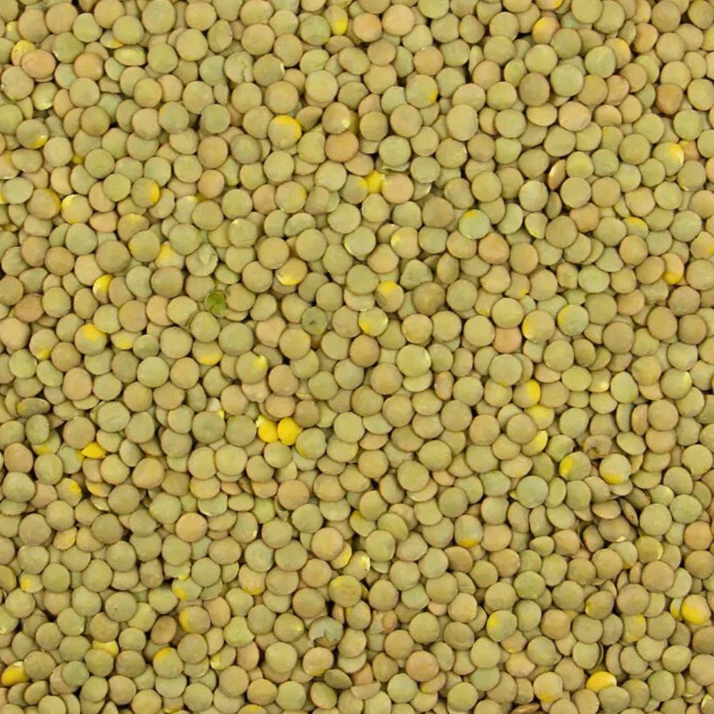 Lentils Green Whole 1kg JK