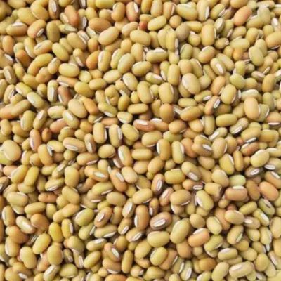 Rice Beans (Masyang ) 500g SG