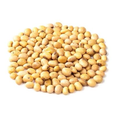 Soya Beans 1kg I Pattu