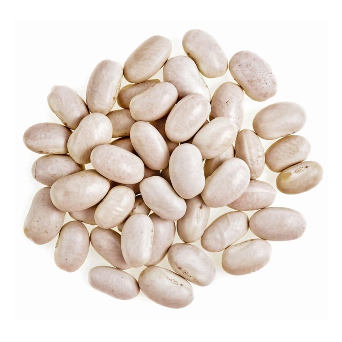 Great Northern Beans  JK 1kg
