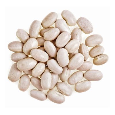 Great Northern Beans  JK 1kg