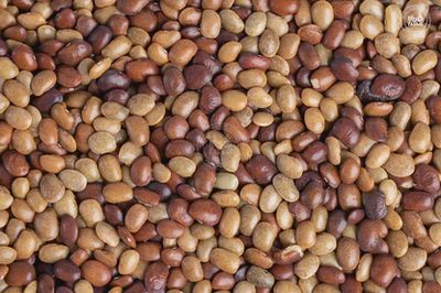 Roasted Horsegram 500 gm Gahat SG
