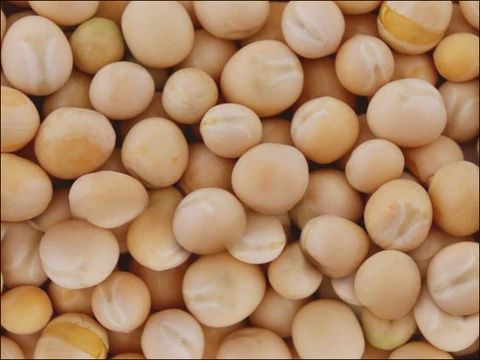 White Peas JK 1kg