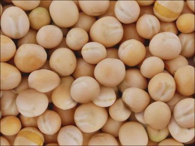 White Peas JK 1kg