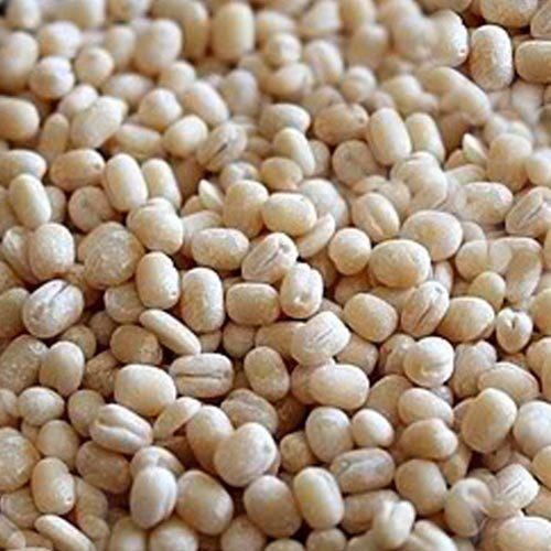 Urid Gota /Maas Daal JK 1kg