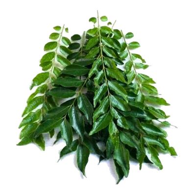 Curry Leaves Bunch
