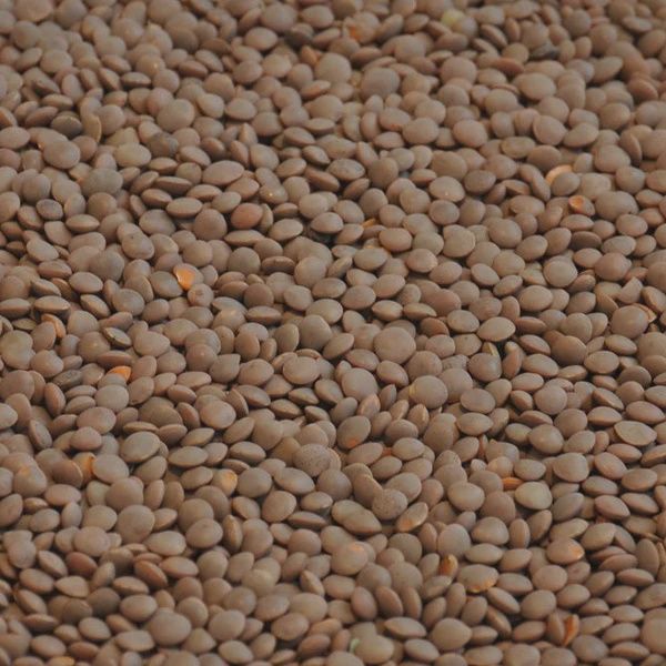 Red Lentil Whole 1kg Selco