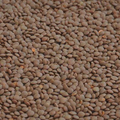 Red Lentil Whole 1kg Selco