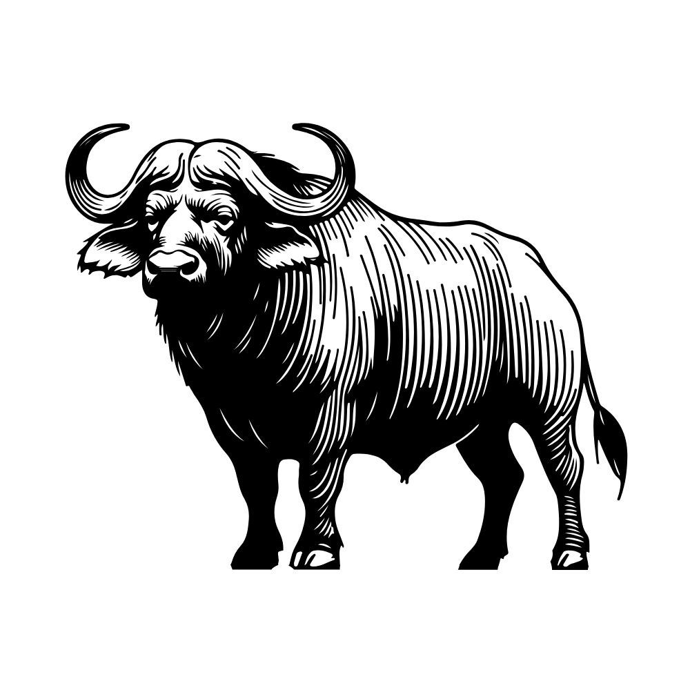 Buffalo Boneless 1kg