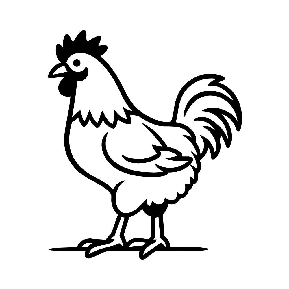 Local Chicken (Country )1kg
