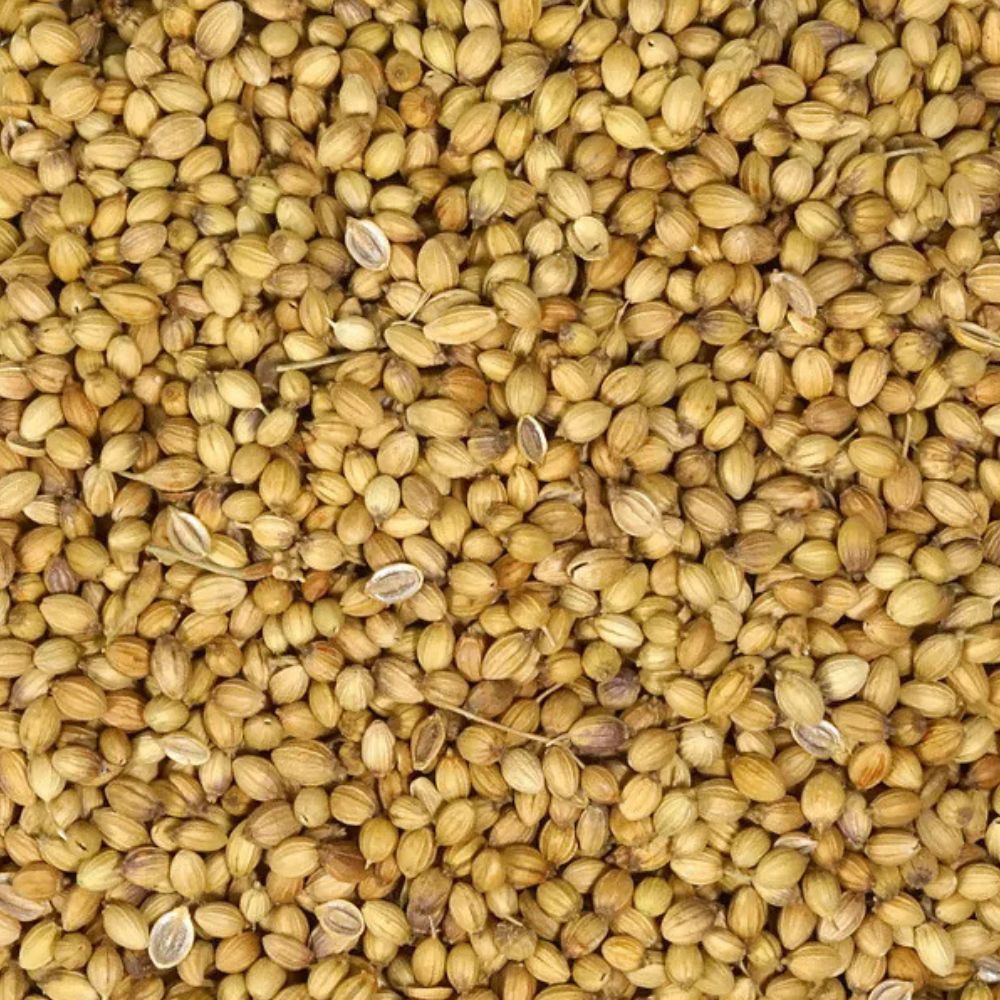 Coriander Seeds 200g Ganesh