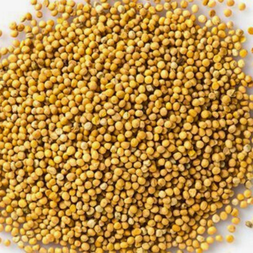 Mustard Seed Yellow 200g / Pattu