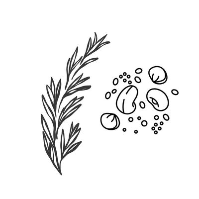 Seeds Herbs &amp; Dries Vegetables