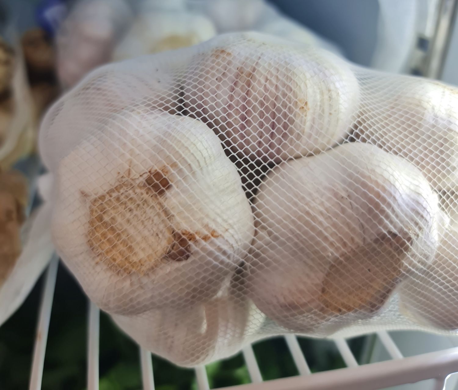 FRESH Garlic Bunch
