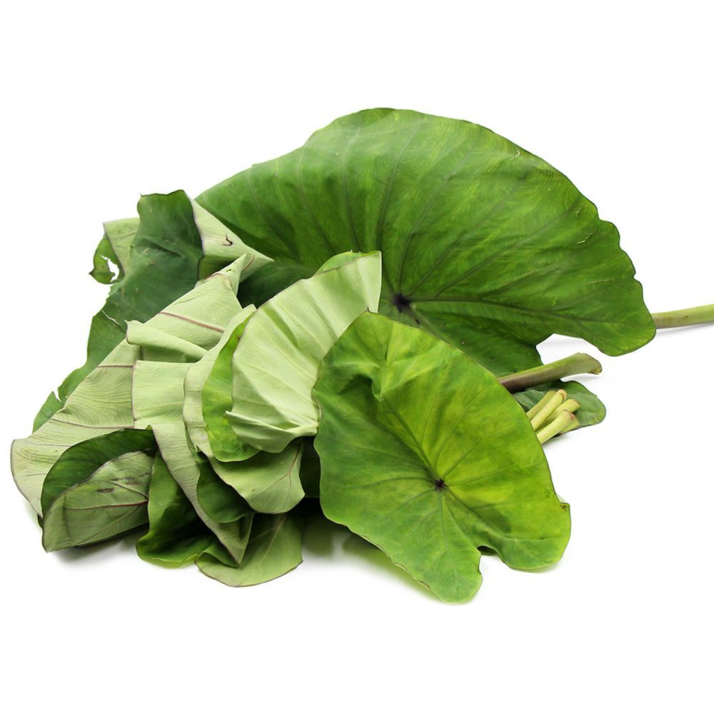 FRESH Taro Leaves