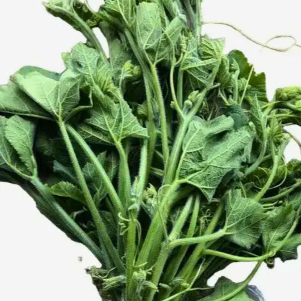 FRESH Pumpkin Leaves