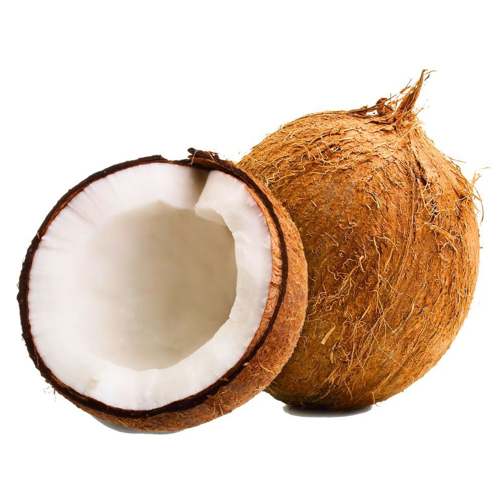 FRESH Coconut Whole