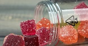 Magic Mushroom Gummies - 10 Count