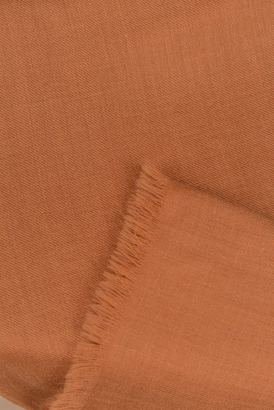 AMARETO camel