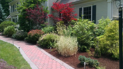 Mulch