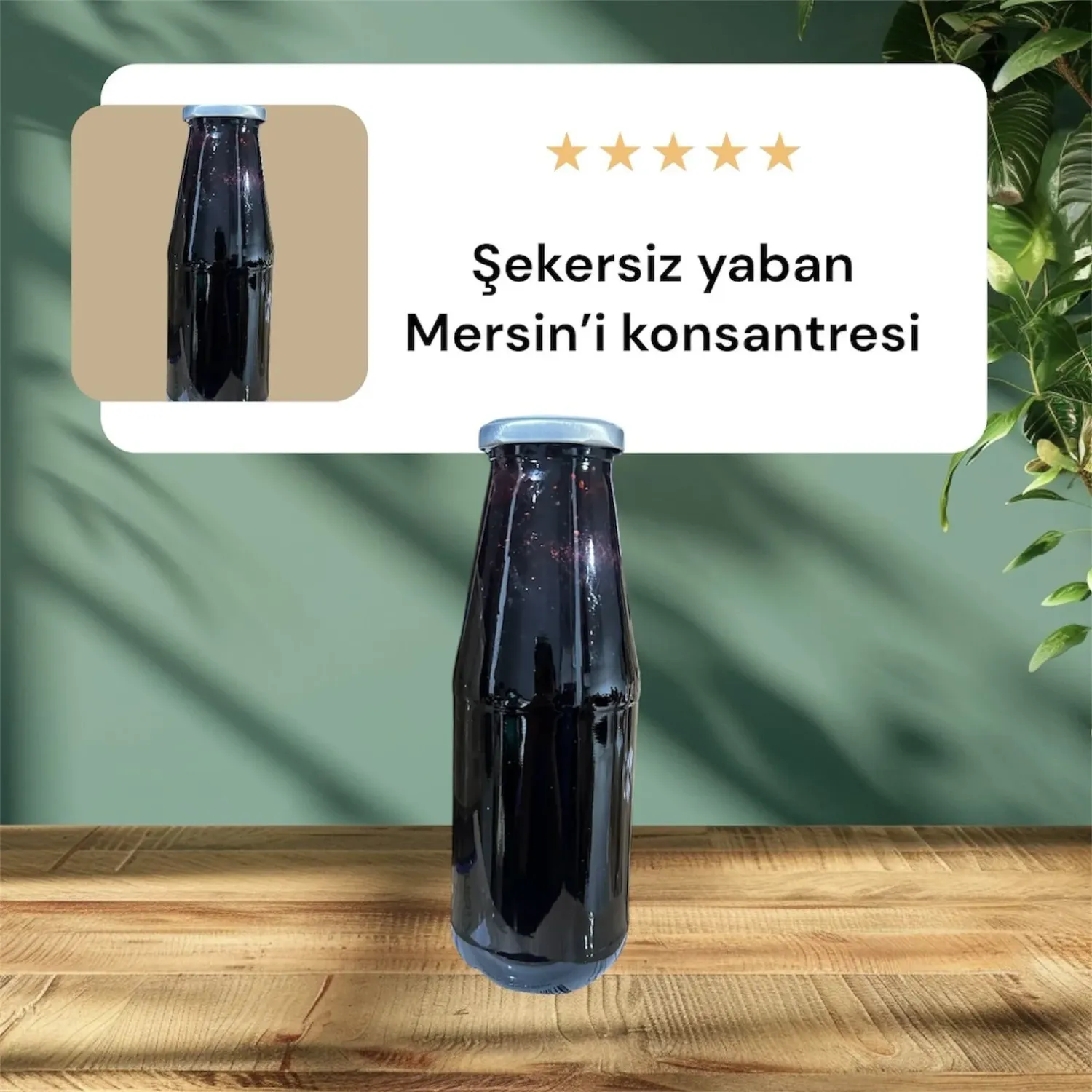 Blueberry Extract