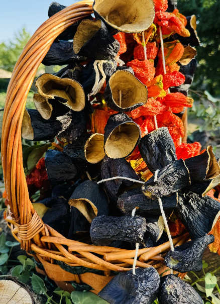 Dried Foods