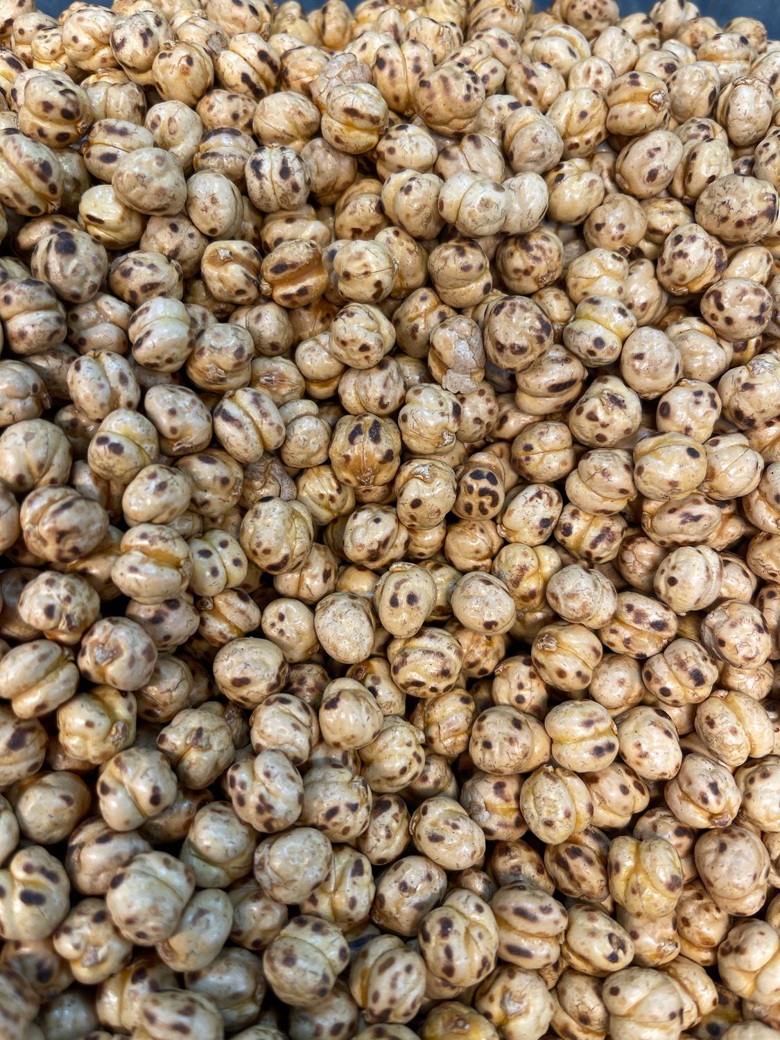 Kichererbsen ( Leblebi) 1Kg