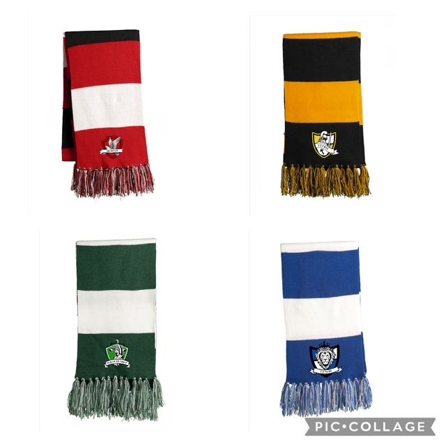 HOUSE SCARF WITH EMBROIDERED PATCH