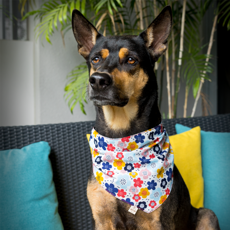 Dog bandana "FLOWER POWER PRETTY"